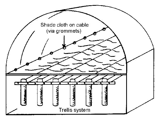 Inside shade cloth on a cable system.