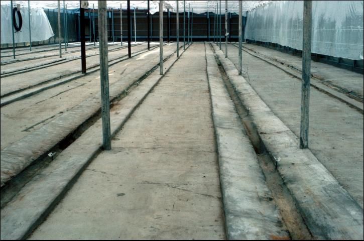 Concrete slanted pads for drainage leachate.