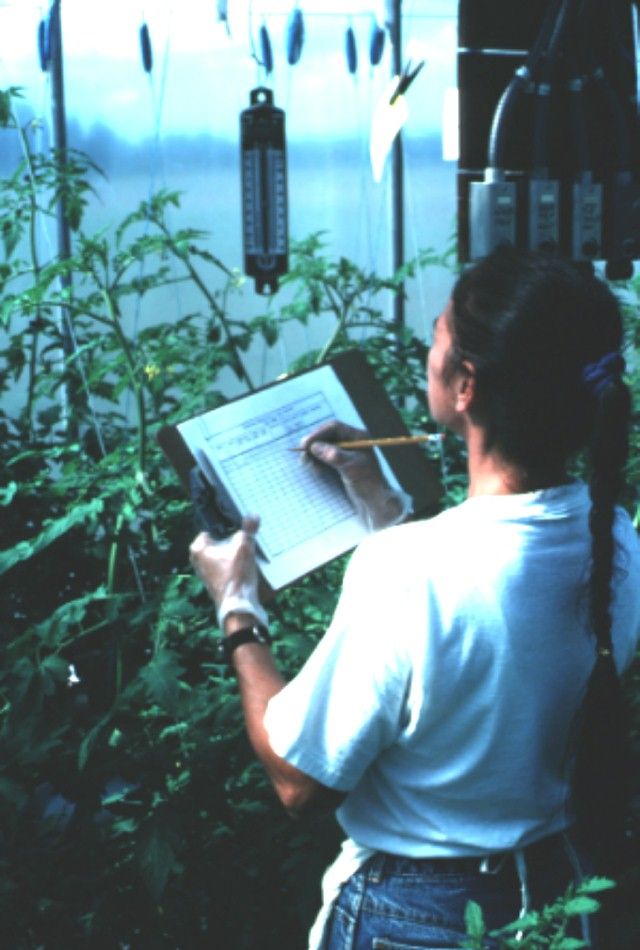 Figure 1. Maintaining accurate records is important for successful and profitable greenhouse operations.