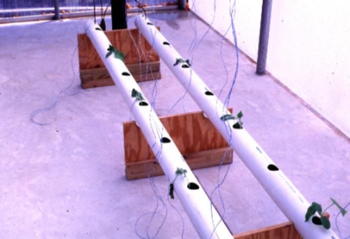 Figure 1. Hydroponic recirculation production system.