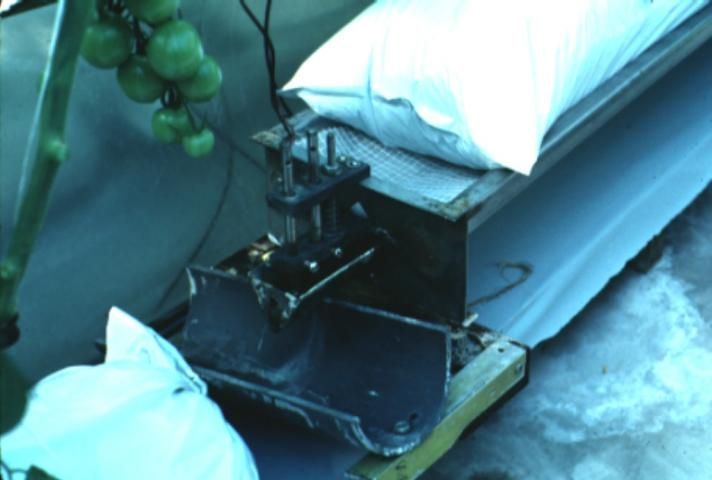 Starter tray for initiating  irrigations for perlite or rockwool systems.