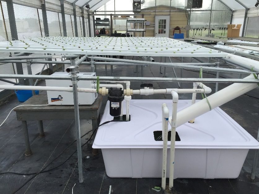 Hydroponic recirculation production system.