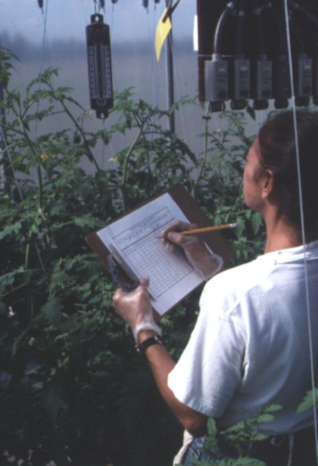 Accurate records on electrical conductivity, pH, and amounts of nutrient solution applied are important for efficient fertilizer management.