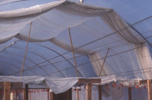 Figure 31. Greenhouse ceiling contour shade cloth system.