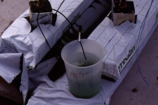 Figure 25. Collecting nutrient solution in a bucket from an extra emitter to track solution delivery rate and amount.