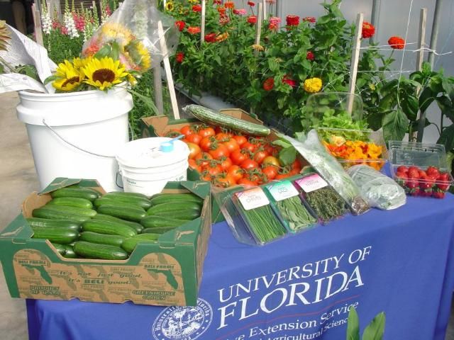 Figure 38. Diverse high-value crop mix grown in Florida greenhouses
