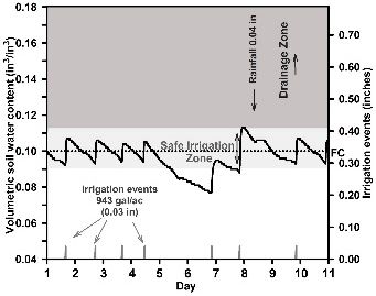 Example of adequate irrigation management using soil moisture sensors for monitoring the volumetric soil moisture content in the upper soil layer (0–6 inch depth) on drip irrigation under plastic-mulched conditions for sandy soils. The black line indicates volumetric soil water content using soil moisture sensors. The gray line indicates irrigation events, each single daily irrigation event having a volume application of 943 gallon per acre (0.03 in). The dotted line indicates soil field capacity (FC) line. Arrows indicate rainfall events.