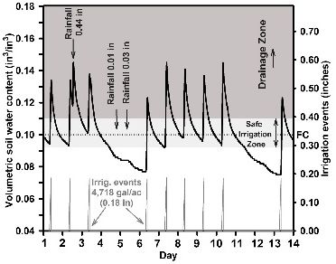 Example of excessive (“over”) irrigation of the upper soil layer (0–6 inch depth) moisture content for drip irrigation under plastic-mulched conditions for sandy soils. The black line indicates volumetric soil water content using soil moisture sensors. The gray line indicates irrigation events, each single daily irrigation event having a volume application of 65 gallons per 100 feet (0.18 in). The dotted line indicates soil field capacity line. Arrows indicate rainfall events.