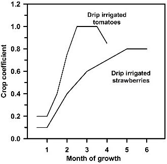 Crop coefficient of drip-irrigated tomato and strawberry.