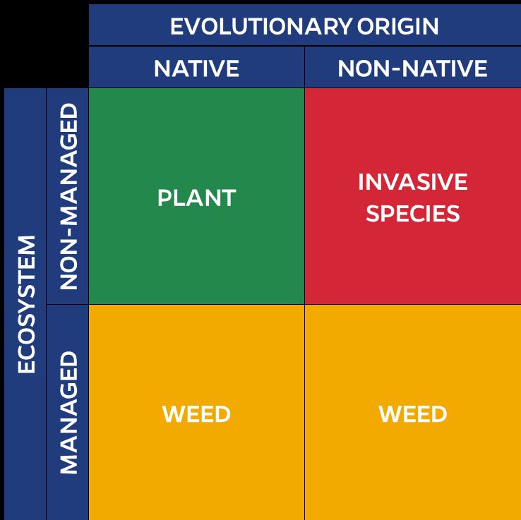 Diagram depicting the categorization of plants by evolutionary origin (native vs. non-native) and ecosystem (managed vs. non-managed), delineating between weeds, invasive, and non-invasive species.