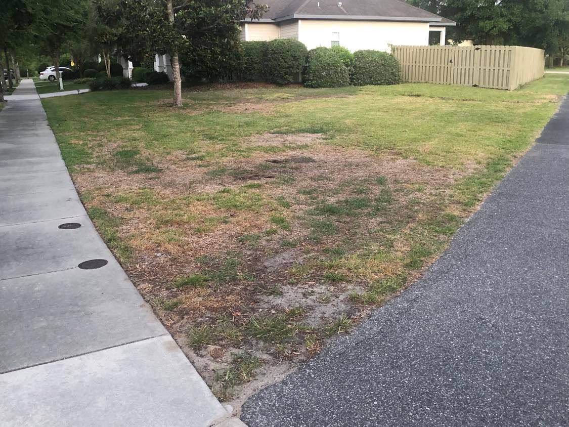 Declining home lawn turfgrass resulting in bare areas open for weed infestation in north-central Florida.