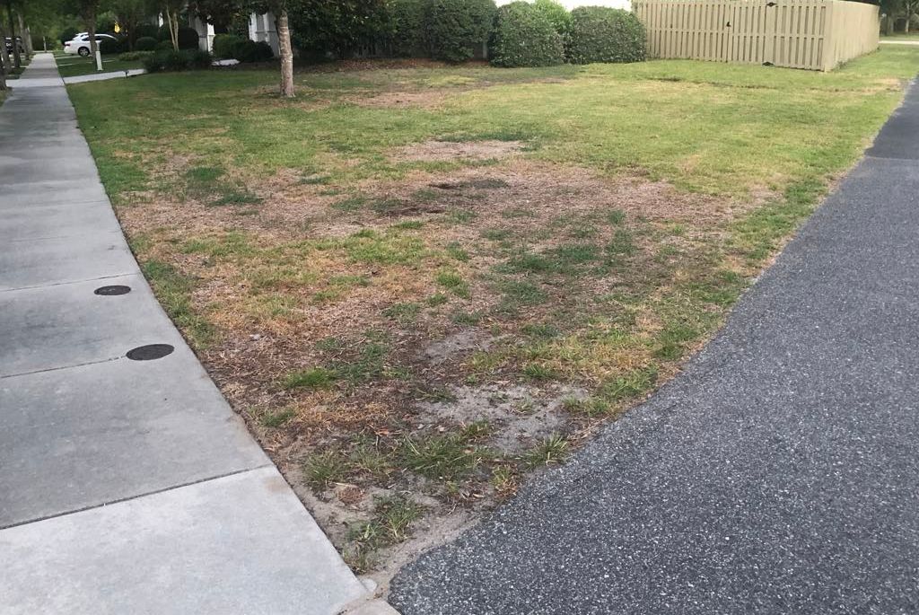 Declining home lawn turfgrass resulting in bare areas open for weed infestation in north-central Florida.