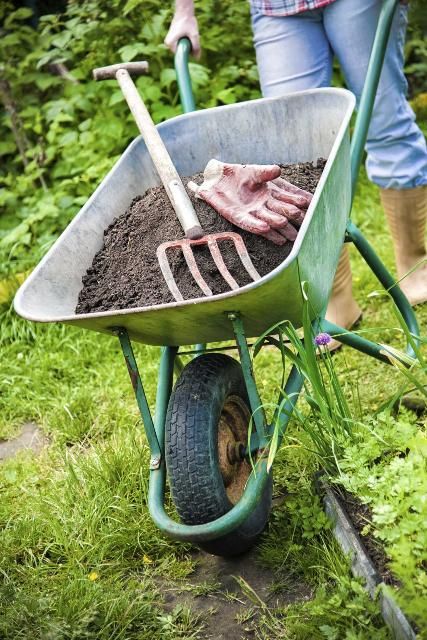 Figure 3. Compost can be used as a soil amendment, mulch, or one component of a potting mix.