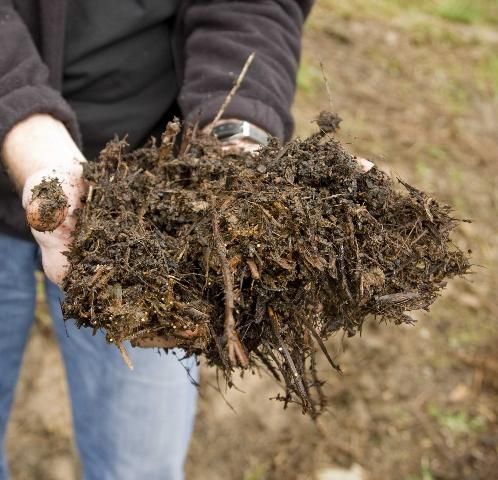 Figure 1. Finished compost will contain small bits of twigs and leaves; it is not completely decomposed like humus.