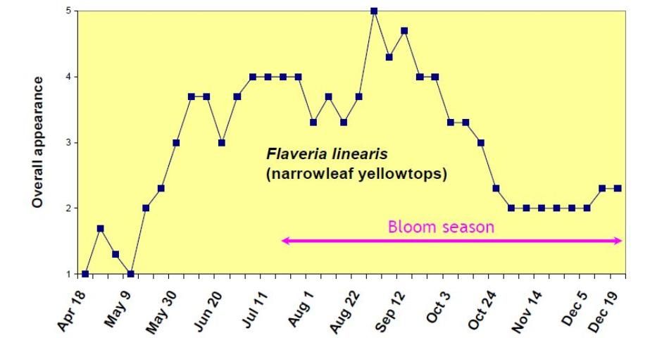 Figure 7. Rating of overall appearance (1 = poor to 5 = excellent) of Flaveria linearis from April 18 to December 19, 2006.