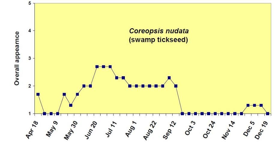 Figure 5. Overall appearance rating (1 = poor to 5 = excellent) of Coreopsis nudata from April 18 to December 19, 2006.