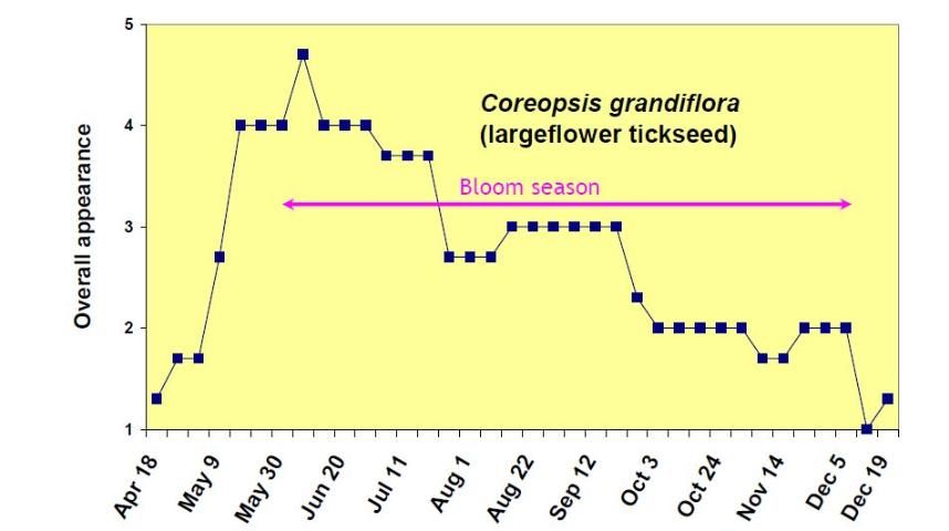 Figure 2. Overall appearance rating (1 = poor to 5 = excellent) of Coreopsis grandiflora from April 18 to December 19, 2006.