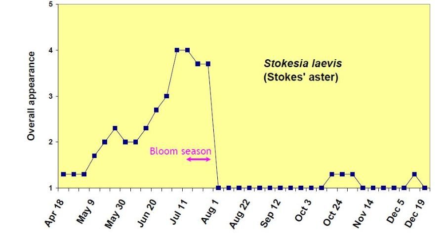 Figure 14. Overall appearance rating (1 = poor to 5 = excellent) of Stokesia laevis from April 18 to December 19, 2006.