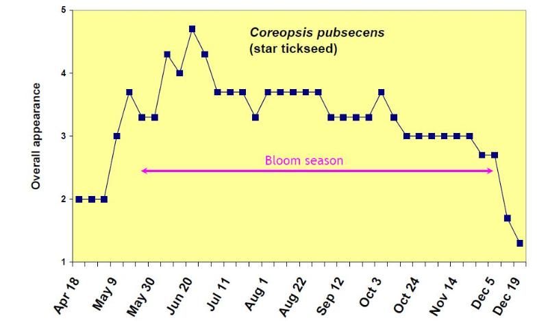 Figure 6. Overall appearance rating (1 = poor to 5 = excellent) of Coreopsis pubescens from April 18 to December 19, 2006.