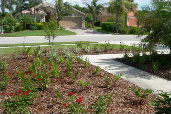Figure 9. AFTER Florida-Friendly landscape renovation -- June 2009. The new landscape includes a larger plant bed with a variety of plants, including Pentas, Coontie, Salvia, and Flax Lily. A combination of plant colors, textures, and shapes add visual appeal and also attract birds and butterflies.