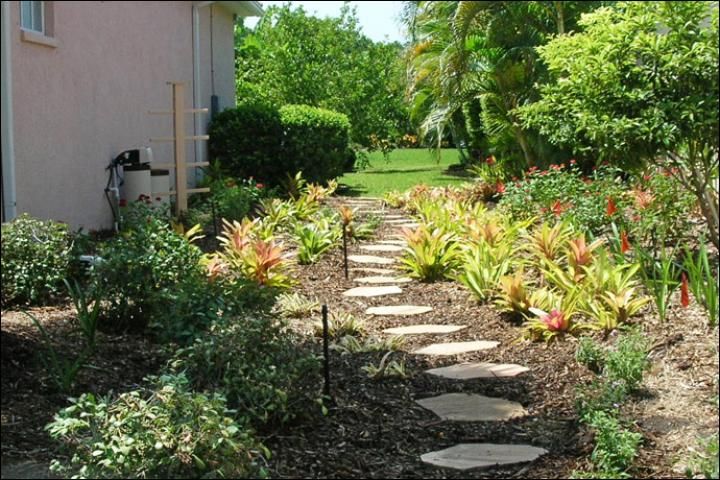Figure 13. AFTER Florida-Friendly landscape renovation -- August 2009. The new landscape includes large beds with a variety of plants and a stone walkway, which gives form to the plant beds. The trellis will support a Coral Honeysuckle vine to hide the utilities.