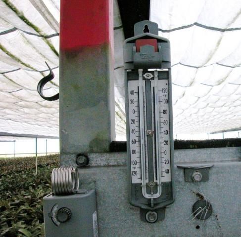 Figure 1. Retractable heat (thermal) curtain deployed under the roof in a shadehouse.