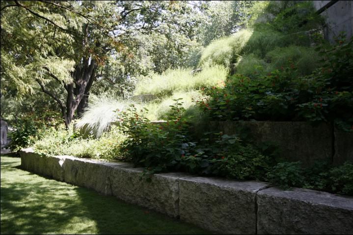Figure 11. A garden wall and terraces give the garden a finished look.
