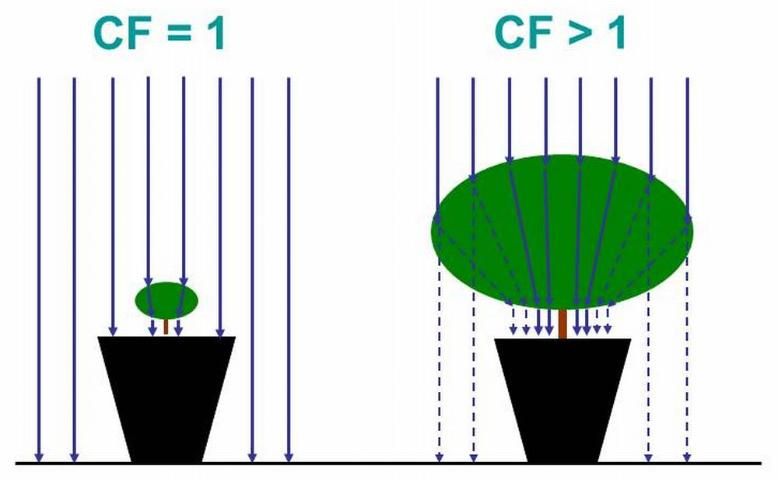 Figure 2. Capture factor (CF) describes a plant's capacity to channel water into the container that would otherwise fall between containers. CF is affected by plant species, canopy size, and container size and spacing.