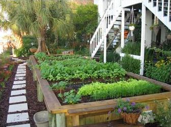Figure 2. Raised beds can be elaborate and esthetically pleasing.