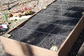 Figure 2. Raised beds can be elaborate and esthetically pleasing.