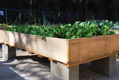 Figure 2. Raised beds can be elaborate and esthetically pleasing.