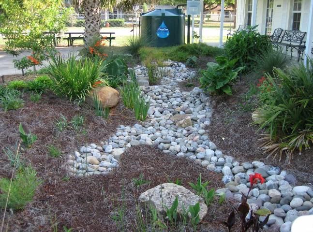Figure 3. Rain garden created to retain stormwater and enhance on-site infiltration.