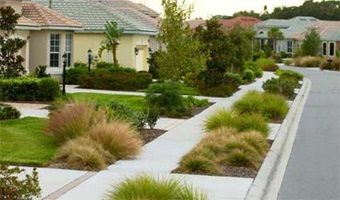 Figure 15. The common area between street and sidewalk with Florida-Friendly grasses.