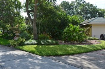 Figure 4. Turf strips along driveways or walkways give the impression of more turf.