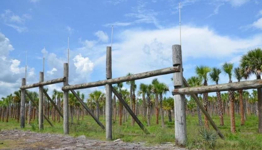 Portion of a tree rack.