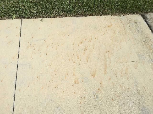 Figure 3. Fe sulfate fertilizer particles will rapidly dissolve and stain wet surfaces like this sidewalk in Gainesville.