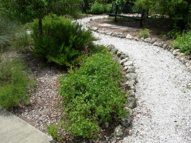 Figure 9. Permeable walkways can increase water infiltration for plants and groundwater recharge.