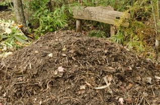 Figure 5. Compost pile without receptacle.