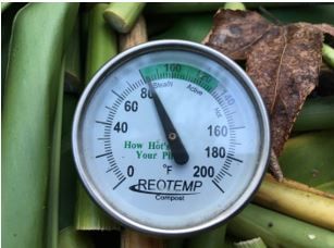 Figure 3. Compost thermometer.