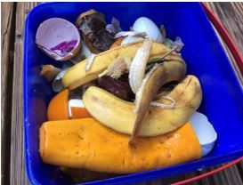 Figure 2. Fruit and vegetable scraps ready to compost.