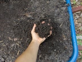 Figure 7. Finished compost ready to be applied to garden.