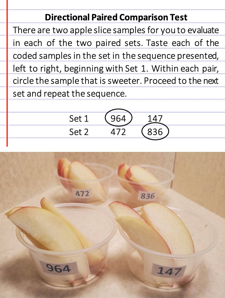 Directional paired comparison test example using apple slices. 