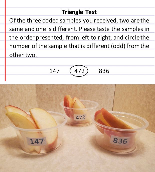 Triangle test example using apple slices. 