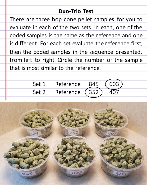 Duo-trio test example using pelletized hop cones. 