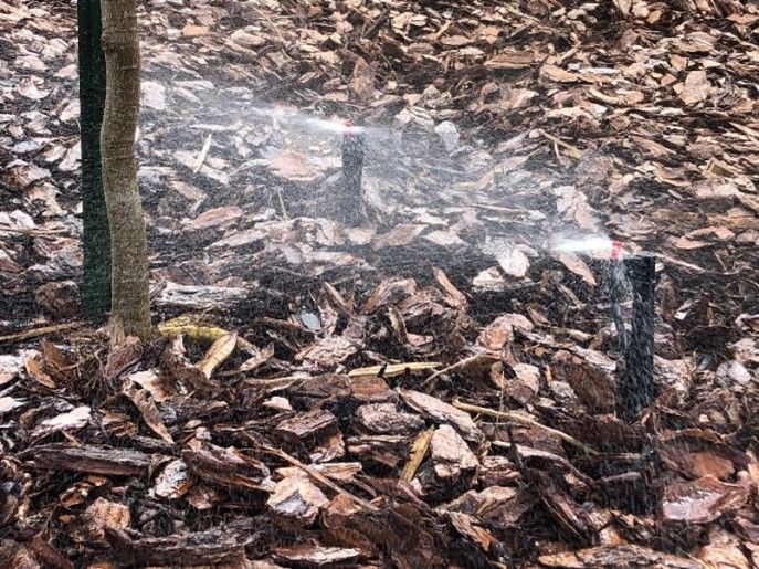 Two small emitters spraying water on a tree in mulch.