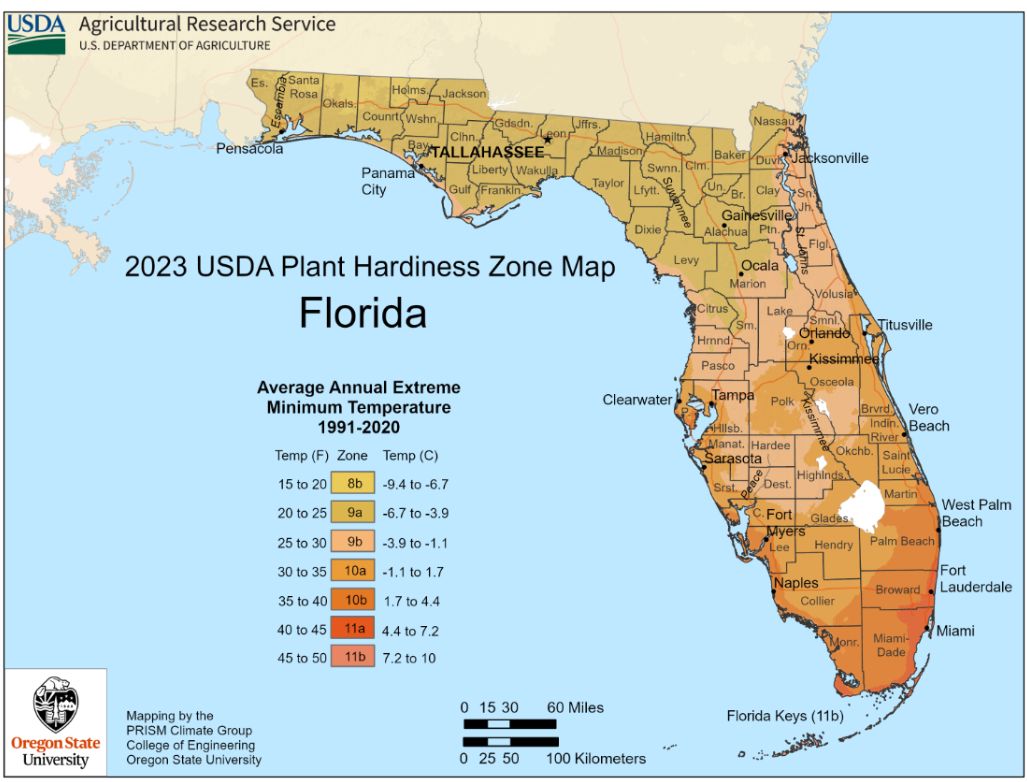 A map of Florida with different colored areas. A key tells what temperature ranges and zones the colors represent. See captions for alternative viewing link.