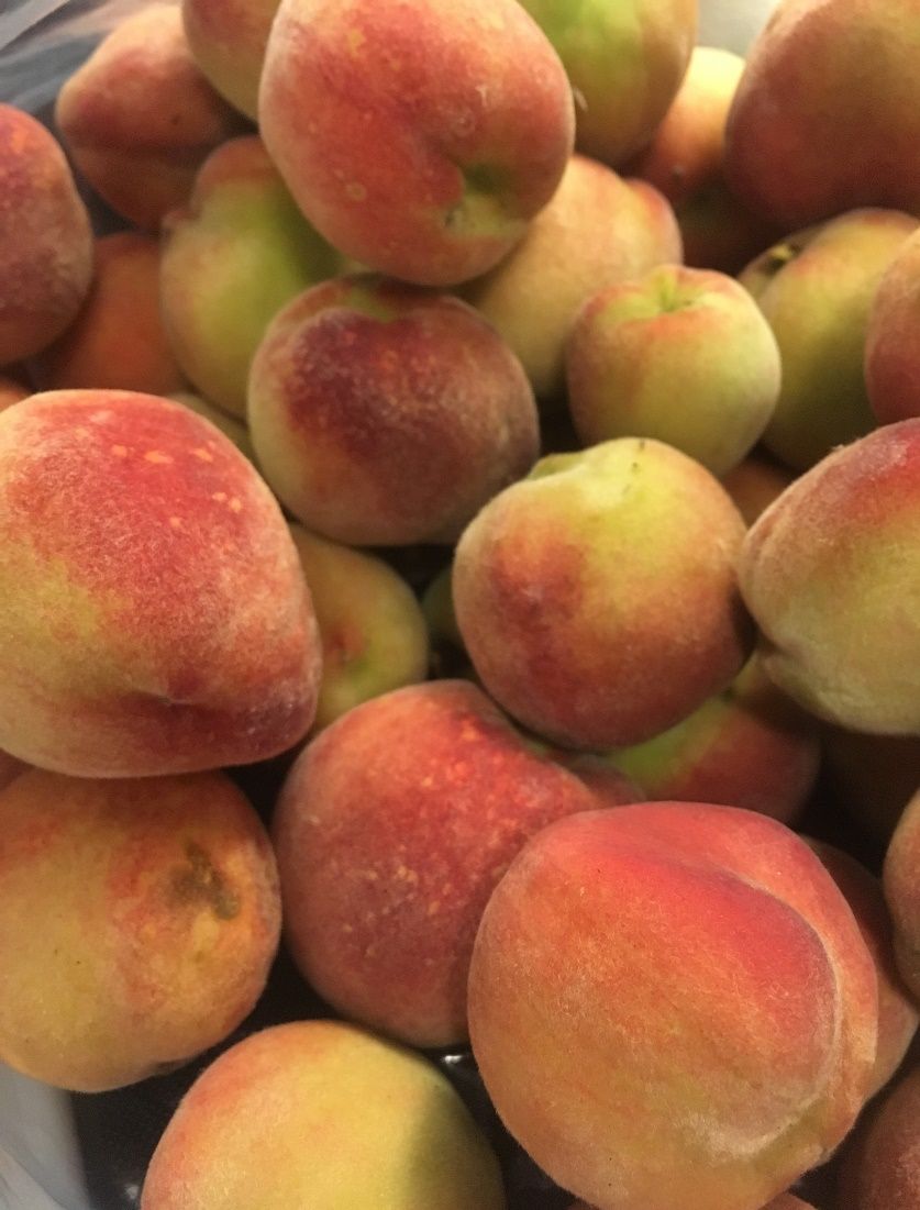 Peaches can grow in USDA hardiness zones 4 through 9 and require proper pruning to yield a good harvest. 