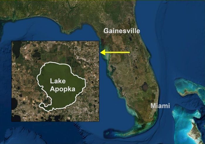 Location of Lake Apopka in peninsular Florida.