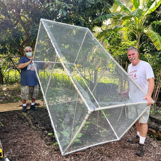 Members of the Broward Tropical Fruit Club devised this cage to keep iguanas from eating their vegetables. 
