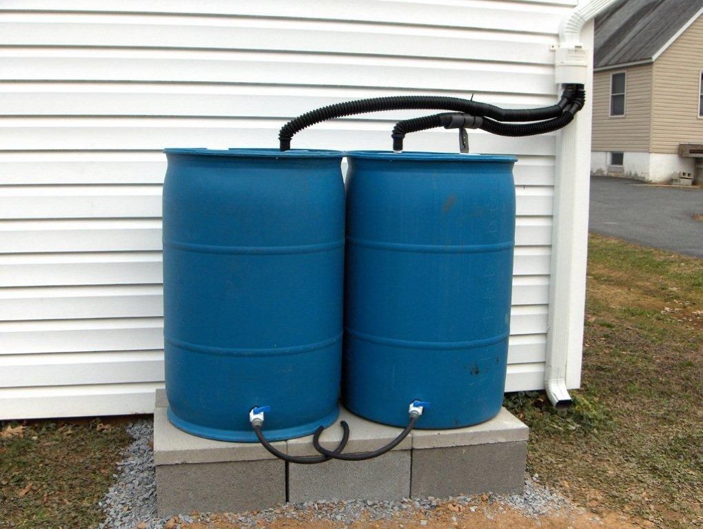 Rain barrel installation collecting from gutters.